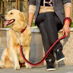犬のチェーン犬のロープ中型大型犬の犬の牽引ロープゴールデンレトリバーラブラドールウォーキング犬のチェーンカラー犬用品