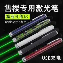USB充電緑色光レーザー懐中電灯赤色光砂テーブル販売ペンレーザー緑色外光ポインターポインティングスターペン