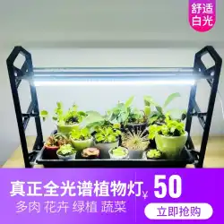多肉植物フィルライト植物ライトカラーフルスペクトルLEDグローライトホーム屋内花断熱室花暖房室
