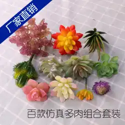 美しいシミュレーション多肉植物造花完全な種類の屋内家の装飾装飾の組み合わせ小さな鉢植えのセット