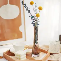 北欧のインスタイルの家のガラスの花瓶の装飾リビングルームのコーヒーテーブルダイニングテーブル細い小径フラワーアレンジメントの装飾
