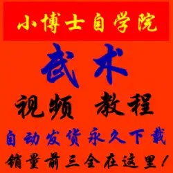 自己学習型武道詠春拳ゼロベースの三田キャプチャムエタイテコンドー自己防衛教育ビデオチュートリアル1010