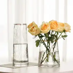 花瓶の装飾リビングルームフラワーアレンジメントガラスイン風光豪華な透明ネット赤い花ハイドロポニックガラス瓶北欧スタイル