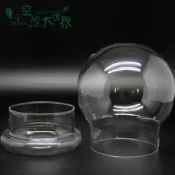 2 in1球状ボトルモスDIYガラスジューシーガラスGガラスフラワーポットマイクロランドスケープエコロジカルガラスボトル花瓶