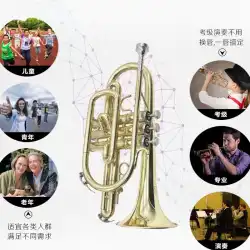 20212021bjBB-フラットホーントランペット金管楽器プロ級ホーン楽器