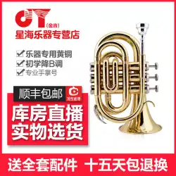 XinghaiJinyinパームナンバーポータブルトランペットB-フラットポケットホルン金管楽器新製品