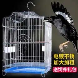 Xuanfengmynaオウムケージを主演する鳥かご誰もが特別なステンレス鋼の色を使用するための特別な大規模な繁殖Daquan