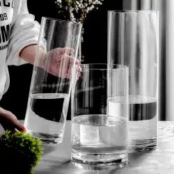 花瓶の装飾リビングルームフラワーアレンジメント透明な小さなガラス瓶イン風馬酔った木水を上げる広い口ネット赤ギンヨウセンネンボク