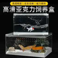 爬虫類ペットボックス透明アクリルスパイダーヤモリホーンカエルカブトムシペットヘビ造園這うペットサンショウウオ飼育ボックス