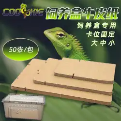 登山ペットクラフト紙パッド素材爬虫類給餌箱マッチングパッド紙ゲッコトカゲおもちゃカラーパッド素材ティッシュペットボックス