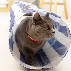 猫のトンネルチャンネル猫のトイレローリングドラゴンの組み合わせ四季ユニバーサル面白い猫のおもちゃ折りたたみ式猫用品猫のおもちゃ