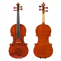 ヴァイオリンの製作と学習の過程で、独自に製作され、署名され、手作りされ、プロが演奏するイタリアのスプルースヴァイオリン