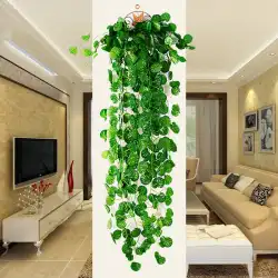 人工籐壁掛け花つる屋内緑植物ベゴニア葉つる籐装飾植物壁偽花オリヅルラン