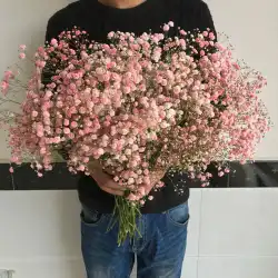 カスミソウは私を忘れて乾燥した花の花束家具リビングルームの装飾装飾品永遠の花生花バレンタインデー大