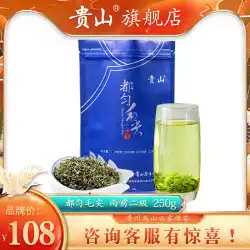 2021年新茶GuishanDuyunMaojianティーバッグ250g高山雲霧バルク貴州緑茶Yuqian春茶