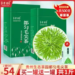 Guizhou Duyun Maojian Tea 2021 New Tea Super Yunwu Green Tea Mingqian Spring Tea Luzhou-flavored Bulk 500g