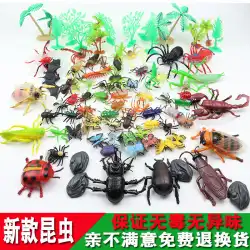 幼児教育認知昆虫玩具シミュレーションプラスチック海洋動物モデルセットクモ蝶てんとう虫