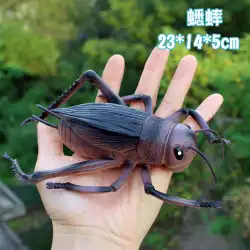大型子供のおもちゃシミュレーション動物昆虫モデル装飾蜂ユニコーン蝶バッタてんとう虫クモ牛