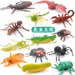 子供の昆虫のおもちゃプラスチックシミュレーション動物モデルクモ蝶蜂ムカデアリサイズ飾りセット