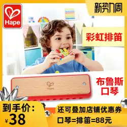 Hape RainbowPaiフルートブルースハーモニカ子供用フルートホイッスルおもちゃ赤ちゃんの音楽演奏木製楽器