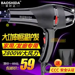 Baosida家庭用ヘアドライヤー2800W高出力定温ヘアケアヘアドライヤー熱風および冷風ヘアサロンヘアドライヤー