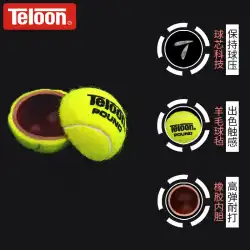 テルーン天龍テニステニストレーニングボール競技ボール初心者練習P4プロフェッショナル4缶
