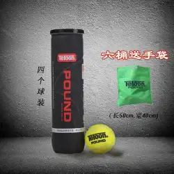 Teloon Tianlong TennisLUXQ1ショックウェーブトレーニングコンペティションP4缶詰テニステニス