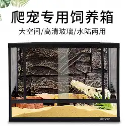 ボユペットタンクカメトカゲ孵化繁殖タンク繁殖タンクガラス生態タンク熱帯雨林タンク爬虫類ペットボックス