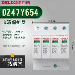 Delixiサージプロテクタ雷保護家庭用三相電力サージアレスタ2P4P20KA / 40KA / 65KAサージ