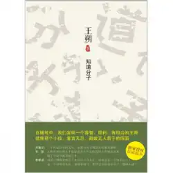 本物の本王碩の作品：知識人王碩北京10月文学と芸術出版社
