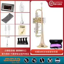 ShunfengJinbao楽器JBTR-430トランペットスリートーンBbドロップBレベルテストバンドオーケストラ演奏