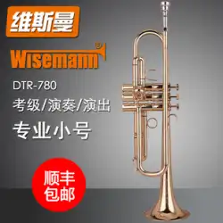 WISEMANNワイスマンDTR780金管楽器ダウンBキートランペット初心者試験グレード演奏パイプバンド