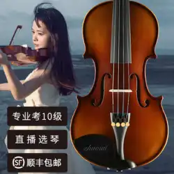Haochengは無垢材のバイオリン初心者の手作りのプロ級の子供たちの大人のバンド試験のソロ楽器を輸入しました
