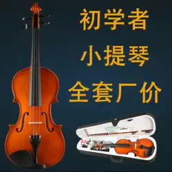 Haocheng初心者バイオリン成人子供入門練習バイオリン自己学習費用効果の高いユニバーサルピアノのフルセット