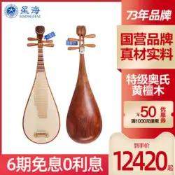 Xinghaipipa楽器8914-AAスペシャルグレードオーストリッチローズウッドピパログポリッシュアシッドブランチウッド演奏グレードピパ