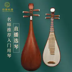 Lehai pipa楽器Teの古代のYisu木素材の弦は、pipaDJ13Xの演奏を始めるのに推奨される以上のものです。