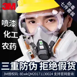 3M 防毒マスク スプレー式塗料 特殊殺虫剤 呼吸保護マスク フルフェイス 6200 抗化学工業 粉塵ガス