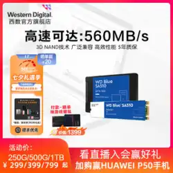 WD Western Digital ソリッド ステート ドライブ 250g 500g 1t M.2 ノートブック SSD Western Digital 1tb デスクトップ コンピューター SA510