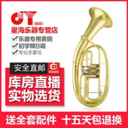 Xinghai Jinyin JYBT-E110 3 フラット キー テナー トランペット B 調の大ホール数楽器