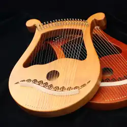 Laiya ピアノ スモール ハープ 16 弦 19 トーン コンホウ ニッチ 楽器 初心者 小さく シンプルで習得しやすい 竪琴 竪琴