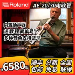 Roland ローランド 電気管楽器 AE20 AE30 電子吹き吹き サックス 大人 AE10 アップグレード版
