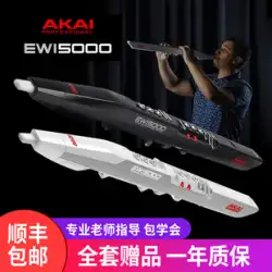 AKAI Yajia 輸入管楽器 EWI5000 エレクトリック ブローパイプ ビギナー エレクトリック サックス 新品 ソロ