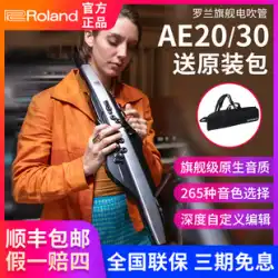 Roland ローランド エレキ ブローパイプ AE20 AE30 プロフェッショナル 電子ブローパイプ 楽器 電動 サックス フルート ひょうたん ワイヤー