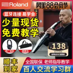 Roland ローランド 電気管楽器 AE20 大泉 高齢者 ae30 初心者 ae10 瓢箪 ワイヤー エレクトリック サックス