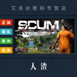 PC 中国の本物のスチーム プラットフォーム国家サバイバル オンライン ゲーム スカム SCUM 新しい完成したアカウント