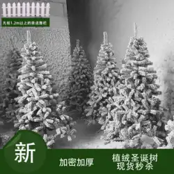 クリスマス クリスマスツリー 白植毛 1.5メートル 1.8メートル 2.1メートル 3メートル シミュレーション スプレー 杉 雪景色 氷の彫刻 飾り