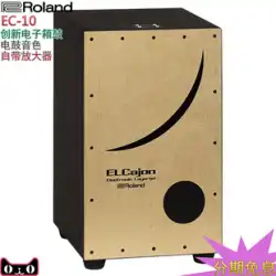 Roland ローランド ストライク 木箱 カホン 電子箱ドラム EC-10 カホンドラム カホンドラム フラメンコ ハンドドラム