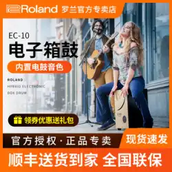 Roland ローランド 電子ボックスドラム EC-10 カホンドラム EC10M ピックアップ カホンドラム フラメンコ ハンドドラム