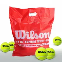 本物のウィルソン ウィルソン テニス トレーニング ボール プレッシャーフリー 練習用ボール 耐摩耗性 ゲーム ボール ウィルソン US オープン バレル