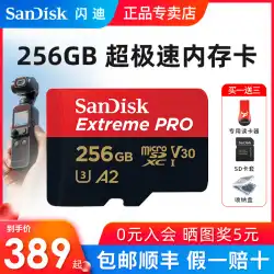 sandisk SanDisk メモリーカード 256g tfカード micro sdカード 170M/s A2 GoProカメラ DJIドローンカメラ 高速メモリーカード 256gb 携帯電話 パソコン拡張